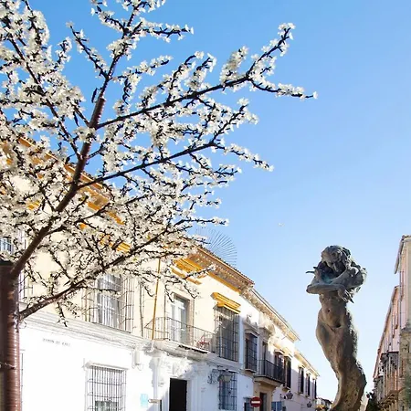 Historic Loft In Kangen House Jerez Apartment Jerez de la Frontera